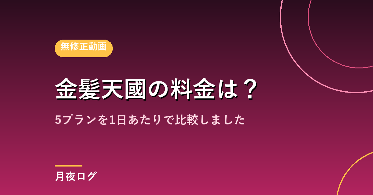 金髪天國の料金は?5プランを1日あたりで比較しました